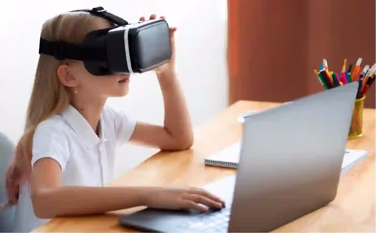 Risks, Concerns, and Ethical Questions